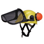 Casque forestier complet